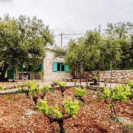 Tsantri Olive Grove * Drakas