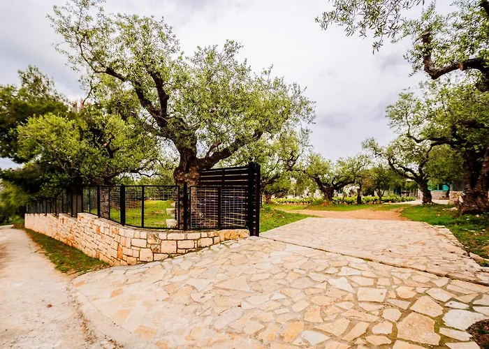 Tsantri Olive Grove Drakas