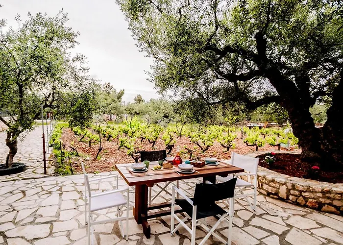 Дом отдыха Tsantri Olive Grove