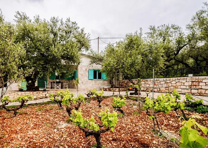 Tsantri Olive Grove * Drakas