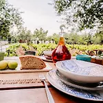 Tsantri Olive Grove