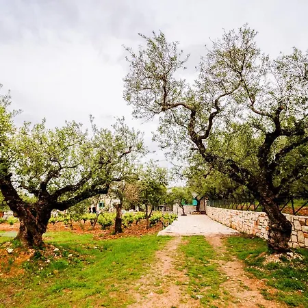 Tsantri Olive Grove בית נופש *
