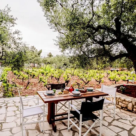 Holiday home Tsantri Olive Grove