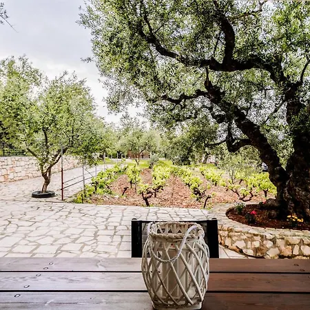 Tsantri Olive Grove Holiday home Drakas