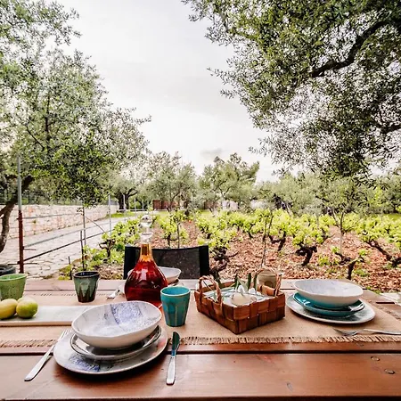 Holiday home Tsantri Olive Grove