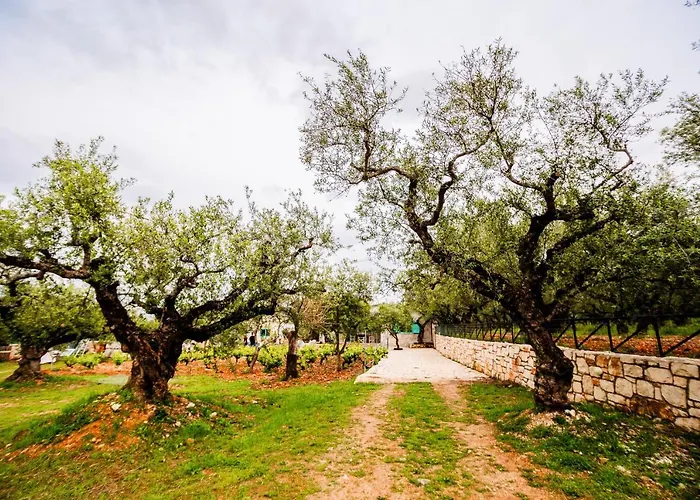 Tsantri Olive Grove Holiday home *