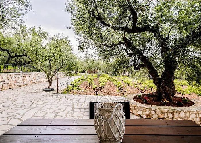 Tsantri Olive Grove Ваканционна къща Drakas