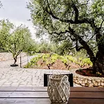 Tsantri Olive Grove Holiday home Drakas